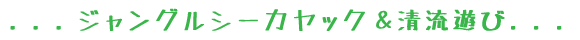 ゆったり無人島＆舟浮
