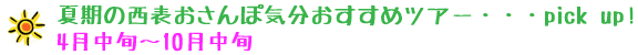 夏季の西表おさんぽ気分お勧めツアー