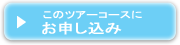 おさんぽセット