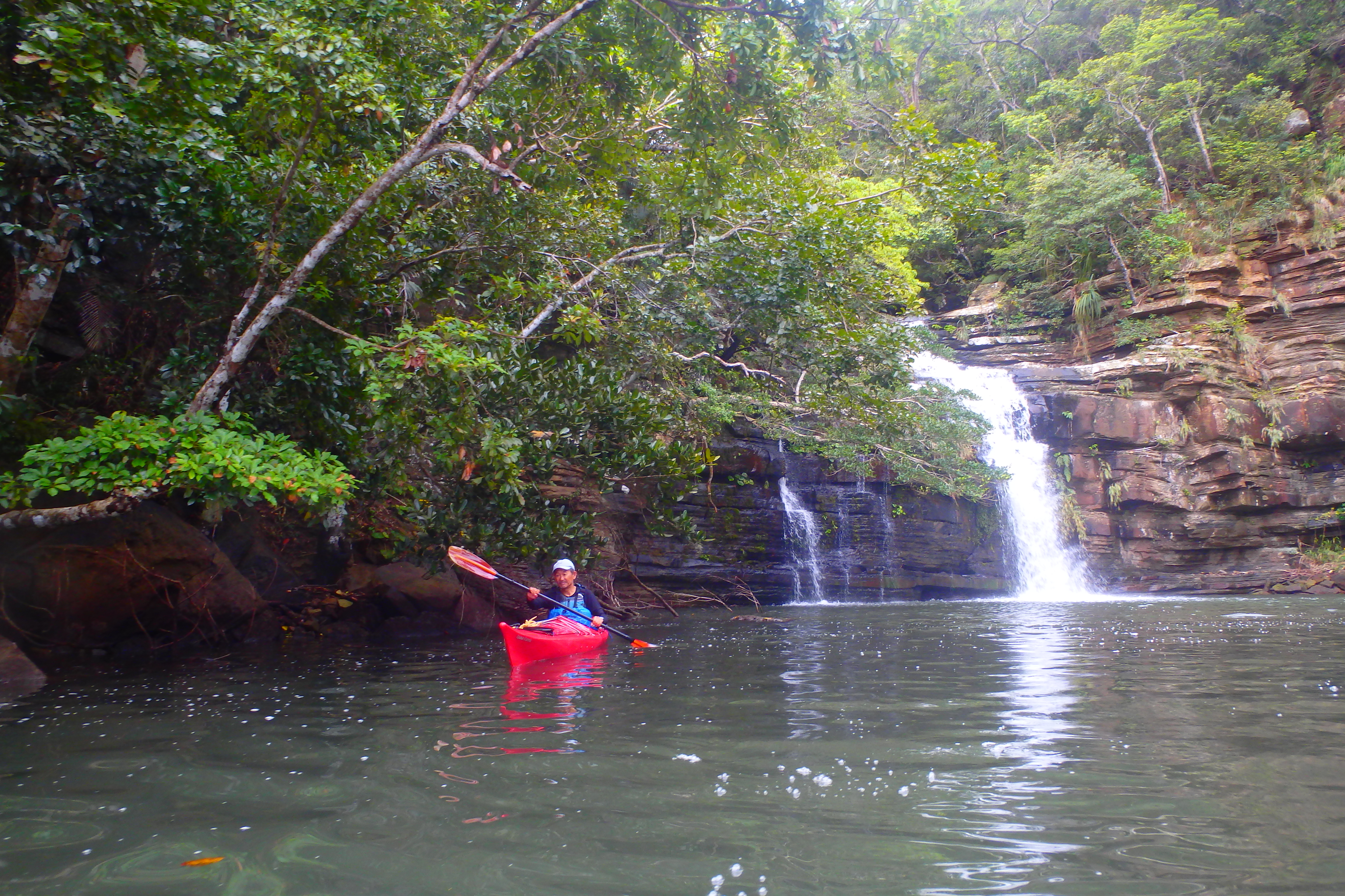 http://iriomote-osanpo.com/information/P3040029.JPG